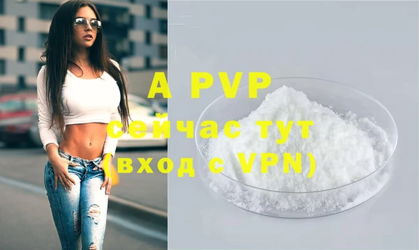 ECSTASY Корсаков