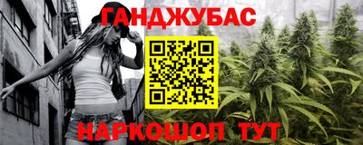 крисы Кулебаки