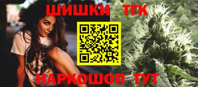 шишки Аргун