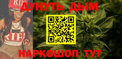 крисы Кулебаки