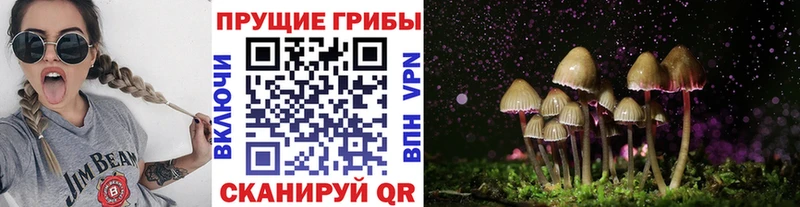 Псилоцибиновые грибы Cubensis  Купить где  Конаково 