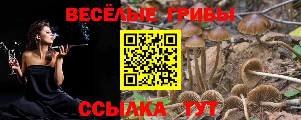 Конаково  Псилоцибиновые грибы Cubensis  Галлюциногенные грибы MAGIC MUSHROOMS  Вход с VPN 